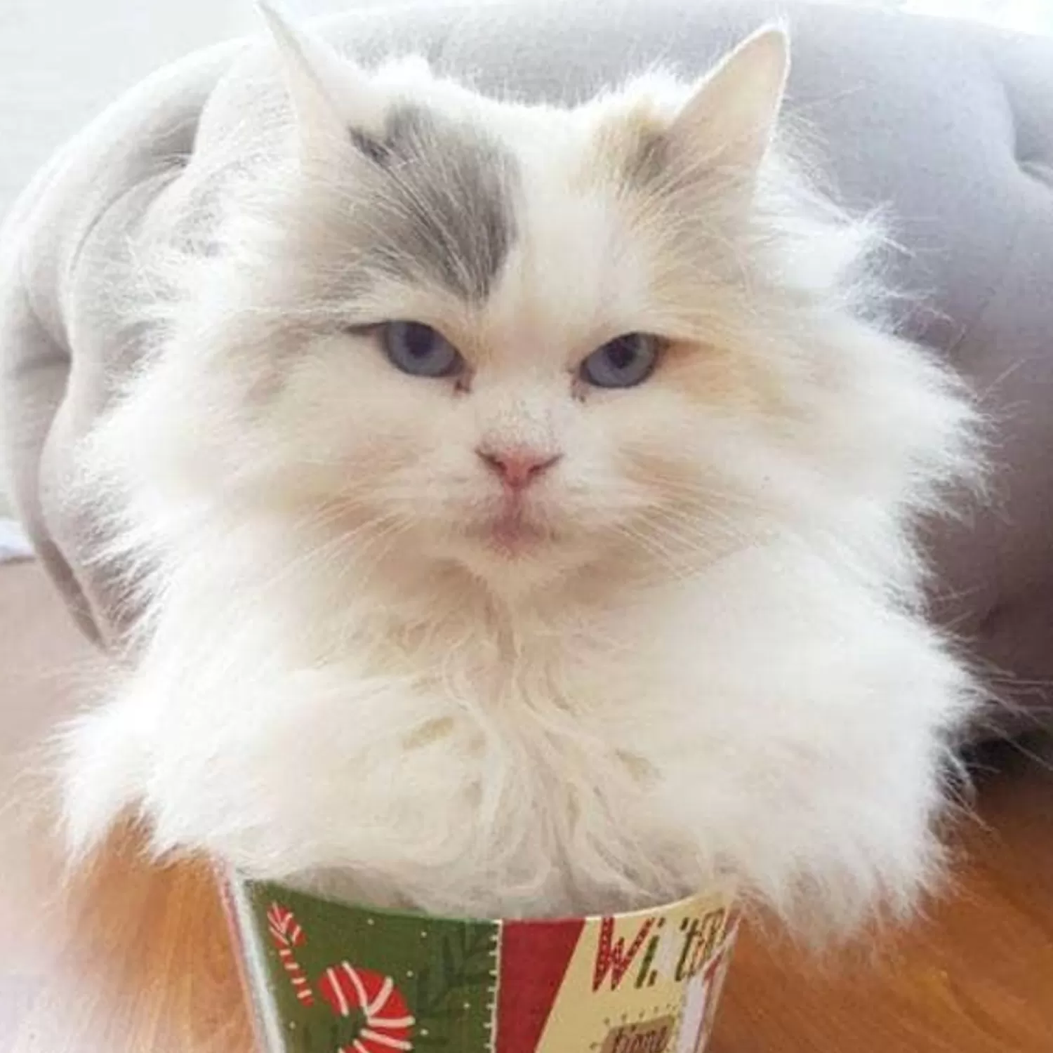 babette_marie_cat_brooch_3.webp Babette Marie Cat Brooch*Erstwilder Fashion