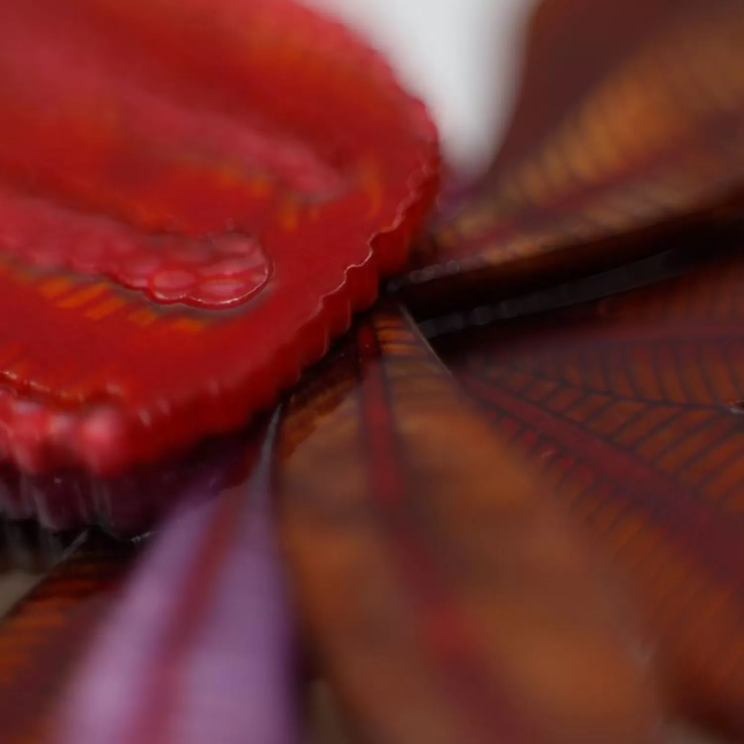 bushy_blush_brooch_2.webp Bushy Blush Brooch*Erstwilder Store