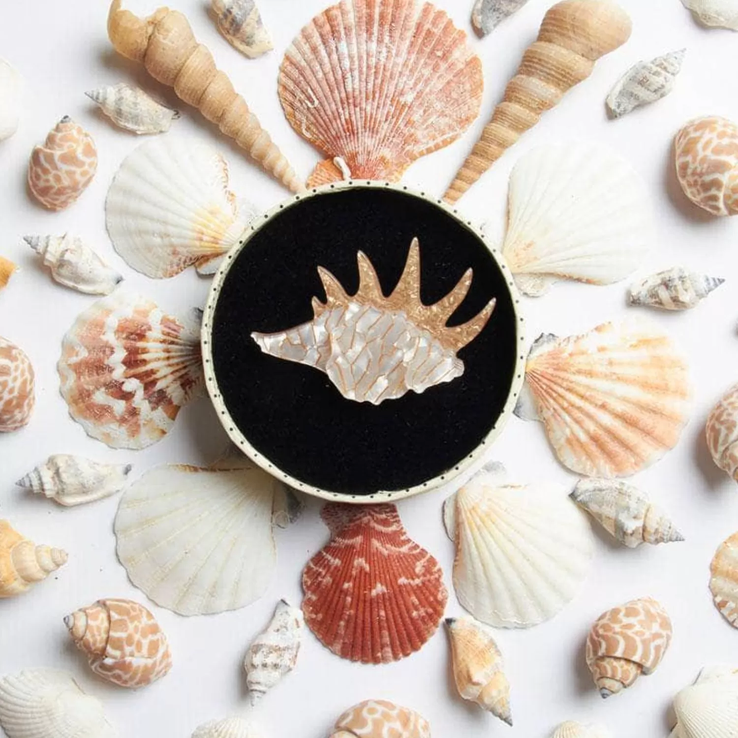 mobile_home_shell_brooch_3.webp Mobile Home Shell Brooch*Erstwilder Hot