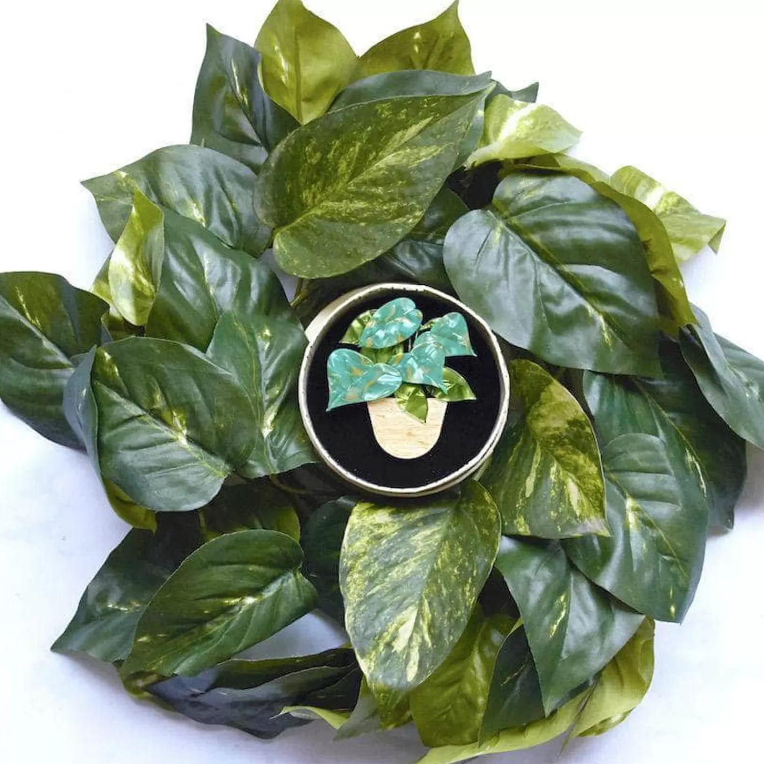show_me_the_money_plant_brooch_2.webp Show Me The Money Plant Brooch*Erstwilder Best Sale