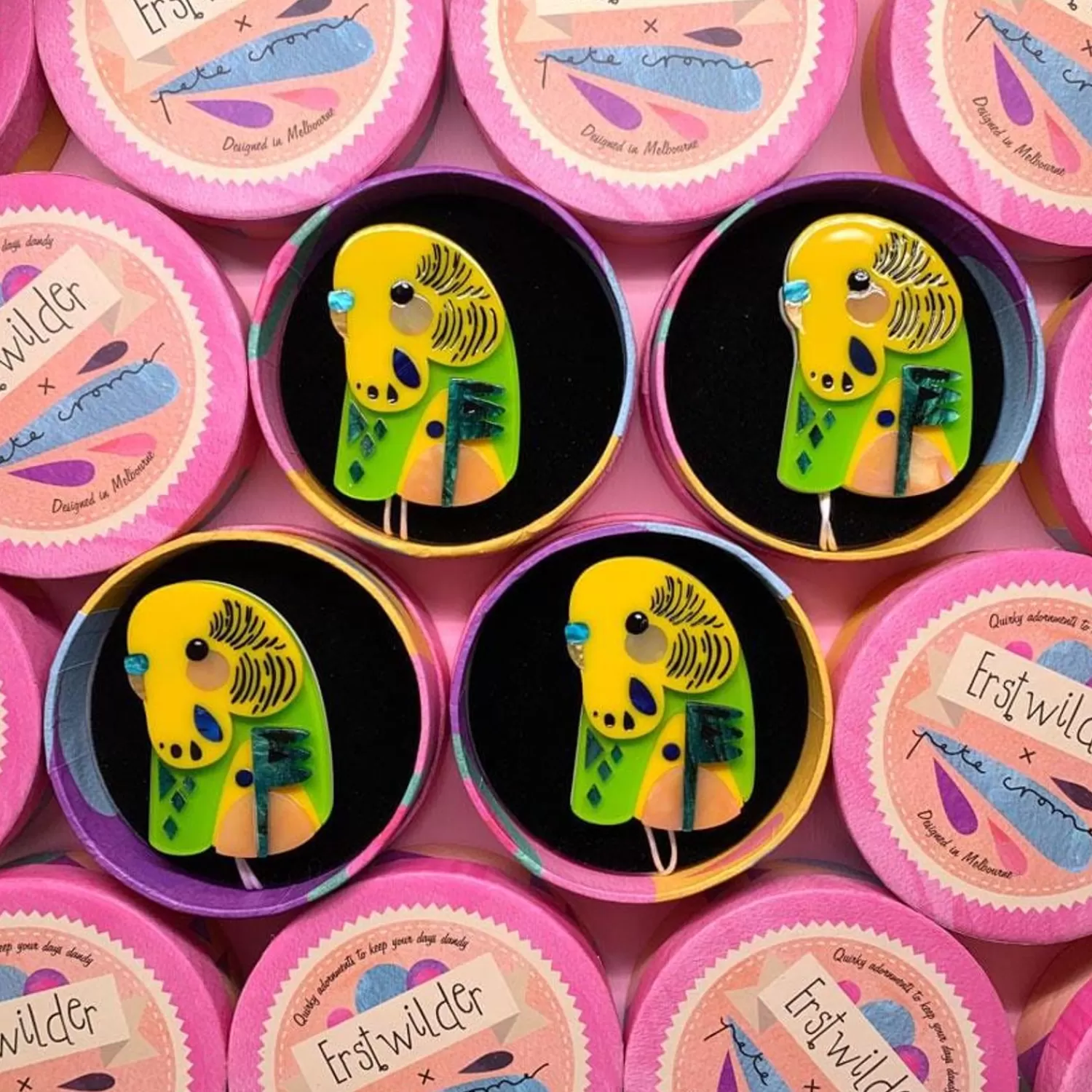 the_beautiful_budgerigar_3.webp The Beautiful Budgerigar*Erstwilder Flash Sale