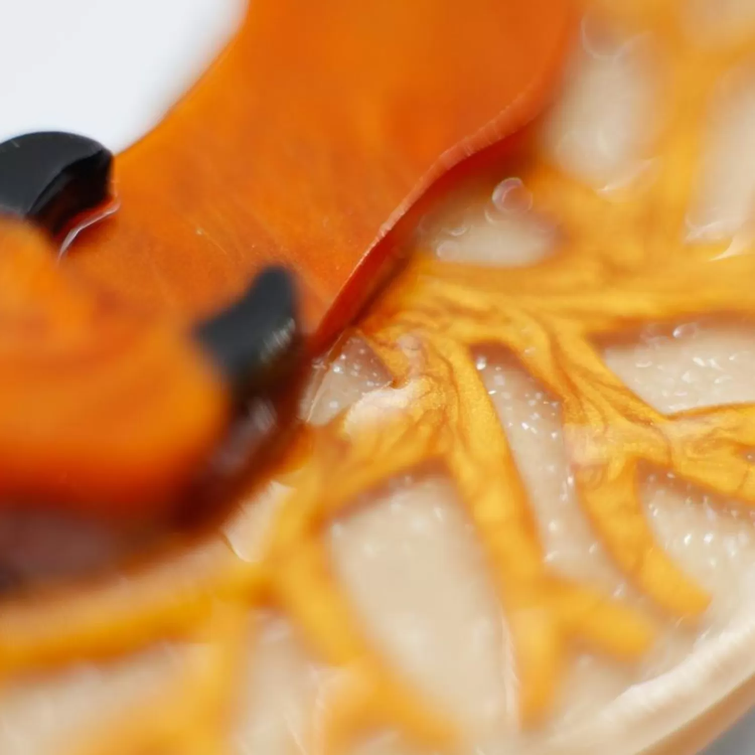 the_prowling_fox_brooch_2.webp The Prowling Fox Brooch*Erstwilder Store